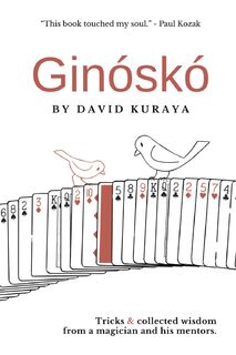 Ginosko.book cover.jpeg